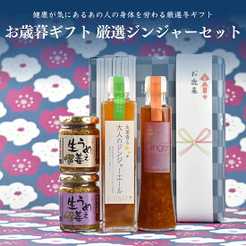お歳暮ギフト 厳選ジンジャーセット 送料無料(沖縄を除く)【ギフト】※うめぇ生姜は選べません
