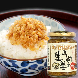 BIGTCY ߂IiEE~j240g 1{