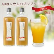 業務用 大人のジンジャーエールSlim 800g 2本 送料無料(沖縄、離島を除く)[11スパイスコーラの日対象商品]