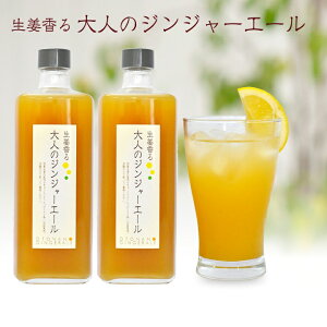 Ɩp l̃WW[G[ 870g 2{ (A)[11XpCXR[̓Ώۏi]