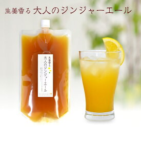 楽天市場 生姜シロップの通販