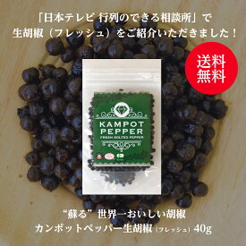 カンポットペッパー 生胡椒（Fresh・フレッシュ） 40g 1袋 ゆうパケット送料無料