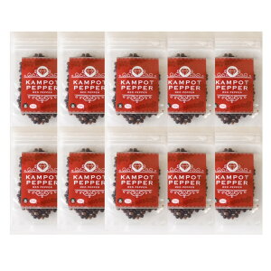 J|bgEybp[ ԌӞ 20g 10 䂤pPbg