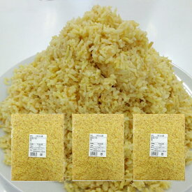 冷凍 みじん切り生姜 1kg×3 タイ産