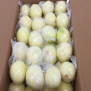 冷蔵 ムキ玉葱（2L）真空パック 10kg 中国産