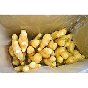 食用 生姜 5kgバラ 2Lサイズ (中国産)