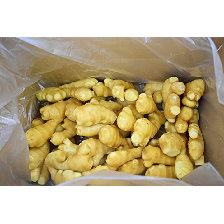 楽天市場】食用 生姜 5kgバラ Mサイズ (中国産) : 生姜工房