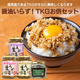 TKGお供セット 送料無料(沖縄、離島を除く)※うめぇ生姜の味は選べません