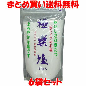 波動法製造 極楽塩 (ごくらくえん) 万能 天日塩 カルシウム 金箔 スタンドパック 袋入 1kg×6袋セットまとめ買い送料無料