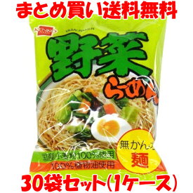健康フーズ 野菜らーめん ラーメン らー麺 国産小麦粉使用 袋麺 即席 インスタント 袋入 100g×30袋(1ケース) まとめ買い送料無料