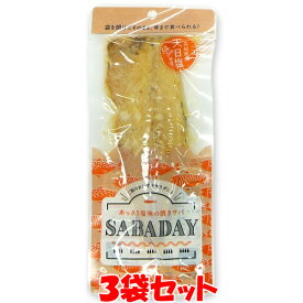 1000円ポッキリ！ 浜吉ヤ SABADAY 焼きサバ 鯖 サバ 1枚×3袋セット ゆうパケット送料無料(代引・包装不可)