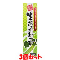東京フード 生おろしわさび 厳選素材 国産 本わさび 西洋わさび不使用 チューブ入 40g×3個セット ゆうパ…