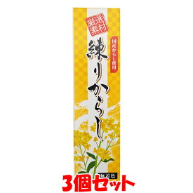 東京フード 練りからし 厳選素材 国産 無着色 ねりからし チューブ入 40g×3個セット ゆうパケット送料無料 ※代引・包装不可 [こちらの商品は予告なくラベル表示が変わります]