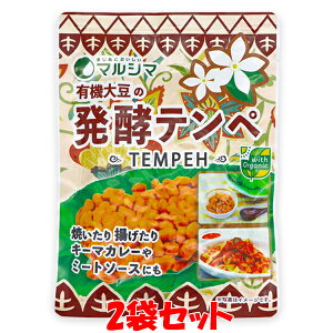 マルシマ 有機大豆の発酵テンペ テンペ オーガニック 100g×2袋セット ゆうパケット送料無料 ※代引・包装不可 訳あり 賞味期限:2026年2月19日