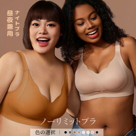 ノーリミット ナイトブラ 昼夜兼用 ノンワイヤーブラジャー ブラ シームレス育乳 レディース スポーツ ブラ トップ 谷間メイク 背肉 わき肉 背中 盛り 盛れる バストアップ キープ