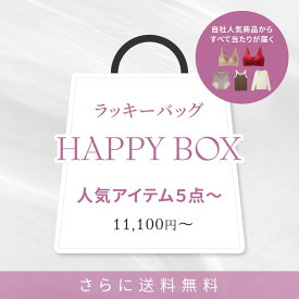 【MAX50％OFFクーポン配布中】ラッキーバッグ 福袋 インナー レディース ナイトブラ ショーツ タンクトップ ブラキャミ 育乳 スッキリ ブラ ブラジャー わき肉 背中すっきり 補正 美胸 小胸 着け心地 ノンワイヤー 谷間