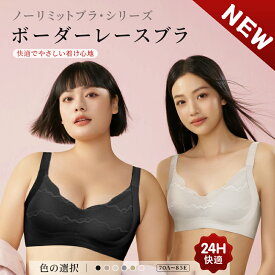 【20％OFFクーポン配布中★店内人気商品★14日12：59まで】ノンワイヤー 美乳 谷間 ブラ メイク スッキリ 背肉 ブラジャー 背中すっきり ブラ 盛り 盛れる 補正 美胸 レースバストアップ キープ 立体的 着け心地 肌優しい 福袋A会場
