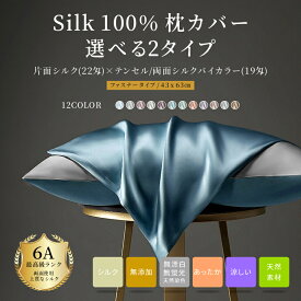 【今だ20％OFFクーポン配布中★店内人気商品】天然 シルク 100％ 枕カバー 美髪 美肌 SILK COVER 触り心地 絹 正絹 光沢 枕パット まくら 保湿 美肌ケア 低刺激 スキンケア 6A 19/22匁 両面 43×63cm 枕 テンセル ピローケース