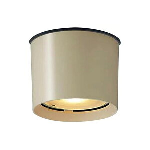 pi\jbNuLGW51693LE1vGNXeACg@LEDƖ idFj (s) LEDs gU^Cv@(Panasonic)