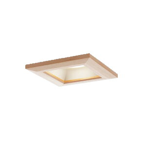 �p�i�\�j�b�N�uXAD1125LCE1�v(LGD9105�����vLLD2020LCE1)LED�_�E�����C�g�y�d���F�z������100�p�C���W��/LED�����v������/�����s��/�y�v�H��