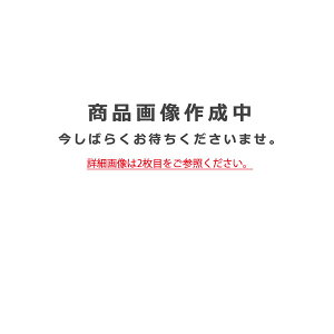 �y�֓�����̔��z�I�[�f���b�N�uOL251409R�vLED�V�[�����O���C�g����
