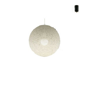 y֓̔zI[fbNuOP035212LRvaLEDy_gCgdF/񒲌i|V[OpjLEDƖ