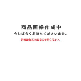 メーカー欠品/生産待ち90日以上/【オーデリック】「OB255231」LEDブラケットライト/昼白色他の商品と同梱不可/LED照明