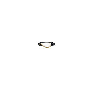 pi\jbNuXAD1441LCB1v(LGD9411vLLD2000LCB1)LED_ECg/dF/100pCLEDEvʔCR/vH/LEDƖ