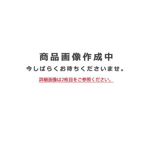 �y�I�[�f���b�N�z�uOL251612R�v�V�[�����O���C�g