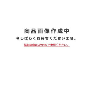 �y�֓�����̔��z�I�[�f���b�N�uOG254240LCR�vLED�G�N�X�e���A���C�g�^�v�H��