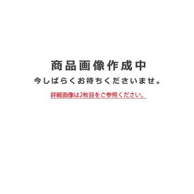 メーカー欠品/生産待ち90日以上/【関東限定販売】オーデリック「OG254977NCR」LEDエクステリアライト／要工事