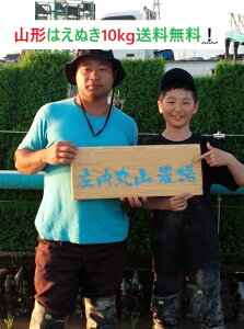 yߘa7NxYVāIzR`͂ʂāy10kgz1āy_ƒII@(ꕔǉz