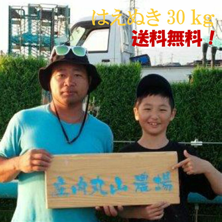 楽天市場】【令和6年度産新米！山形はえぬき30kg農家直送！！ 送料  