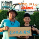 【令和6年度産新米！】山形つや姫30kg【送料無料(一部追加あり】【令和6年度産】減農薬特別栽培米　1等米 白米（27kg)…