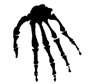 [ցXeVde^gD[/XJnh@H14cm