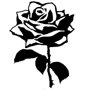 [ցXeVde^gD[/KN@H12cm