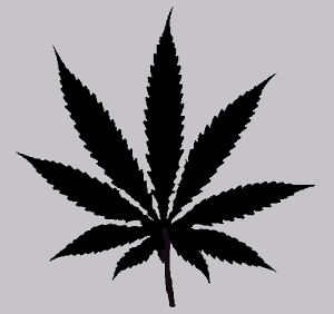 [ցXeVde^gD[/[t@H:7cm