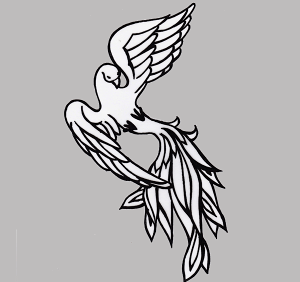 [ցXeVde^gD[/tFjbNX@H20cm