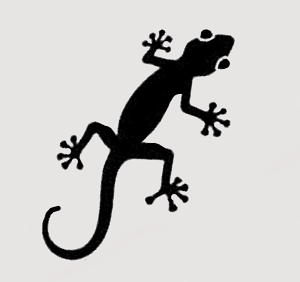 [ցXeVde^gD[/gJQ@10cm