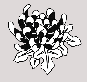 yGAuV@{fB[WG[@wi^gD[pXeVze276@H:15cm