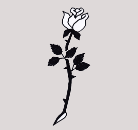 【エアブラシ　ボディージュエリー　ヘナタトゥー用ステンシル】薔薇277　H:10cm