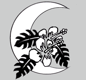 yGAuV@{fB[WG[@wi^gD[pXeVzƃnCrXJX@H:12cm