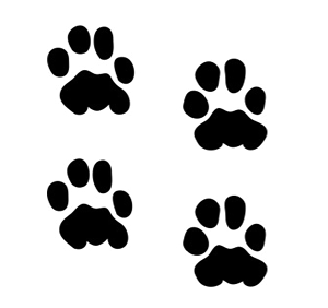 yGAuV@{fB[WG[@wi^gD[pXeVz@W:4cm×4Zbg