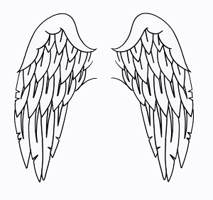 [ցGAuV@{fB[WG[@wi^gD[pXeV/ECOiEZbgj@H20cm×2