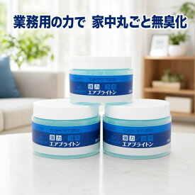 【業務用 消臭剤】強力 消臭ゲル エアブライトン 3個セット 無香料 ホテル客室仕様 年間1万個突破 タバコ ペット 介護 トイレ 部屋干し 生ゴミ 室内 悪臭対策　送料無料