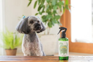 �y�ӂ��X�̂��ق� ���p300ml �z��e�ʂł��� ����p �������y�b�g�̏L�� ��p���L �X�v���[ �f�I�h�����g �A�����̓V�R���L�� �E�L�� �����L �������� �g�C�� �e�� ���L ���� �R�� �V�R����