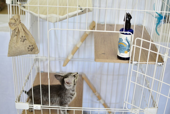 楽天市場 ふわり森のかほり 猫用３００ml 大容量でお得 猫専用 困ったペットの臭い 専用消臭スプレー デオドラント 植物性の天然消臭剤 脱臭剤 動物臭 おしっこの臭い 消臭 除菌 抗菌 天然成分 愛猫 芳香剤 室内 おしっこ場 快適 速効 安心 ねこ用 Cat 猫ベッド