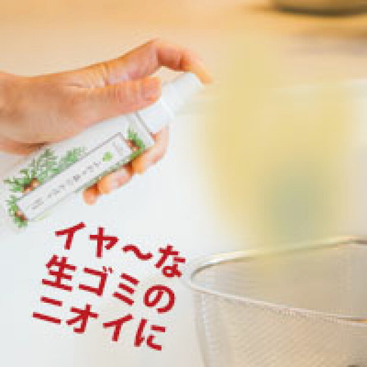 楽天市場 車消臭セット 送料無料 車 強力 無臭 消臭 消臭剤 デオドラント クリーニング エアコン カビの臭い 炭 エタノール 除菌 シートの匂い ペットの臭い マットの匂い おすすめ たばこ タバコ 煙草 の匂いまで消臭 自然素材 芳香剤 消臭木本舗