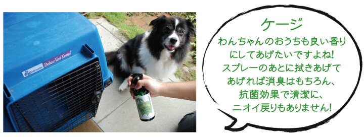 楽天市場 室内犬消臭セット3点 送料無料 消臭木 消臭 除菌 ペット 犬 トイプードルなど 室内飼いの小型犬のそそう おしっこ臭 トイレ 布製品に付いてしまった犬臭さにお困り 車のシートに染み付いた 自然素材のナチュラル消臭剤 衛生 オシッコ ニオイ 無香料 化学