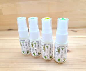 yӂX̂ق~j 15ml 4̍肨Zbgzyzgїp LXv[ Ă {Pbg炳ƈꐁ A̓VRL ؂̍  Lb` gC C 